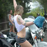 gallery/208.jpg